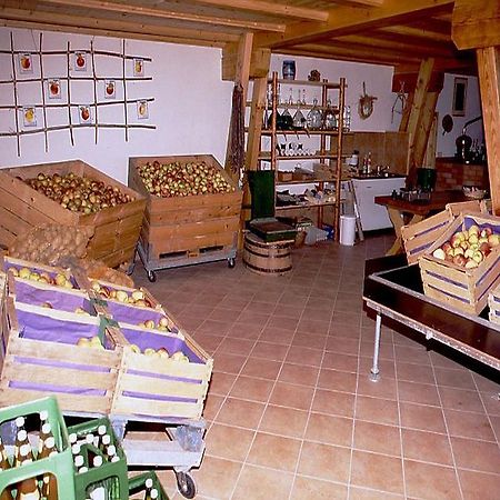 Ferienwohnung Aichem Radolfzell am Bodensee Zewnętrze zdjęcie